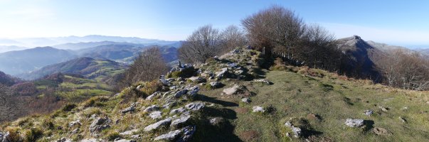 Herniozabal tontorra