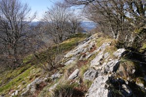 Tontorraren inguruak