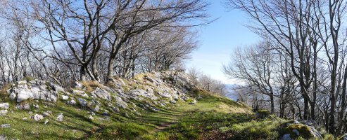 Tontorraren inguruak