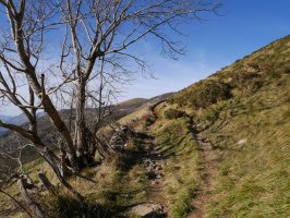 Zelatundik Bidania aldera