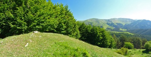 Gaztuluzarreko gailurra