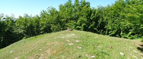 Gaztuluzarreko gailurra