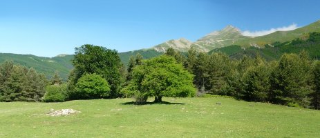 Orhi, Gazteluzerreko bizkarren gainean nagusi