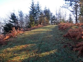 Mendebaldeko Tontorra