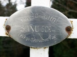 Sañuko gurutzeko txapa