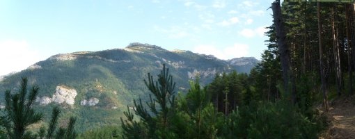 Larrazako malkarrak Coronako bidetik