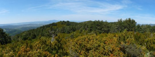 Carrascalgo gainaldea