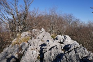 Hirumugarrietako Harkaitza tontorra