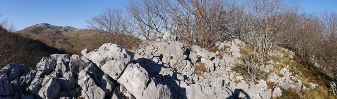 Hirumugarrietako Harkaitza tontorra