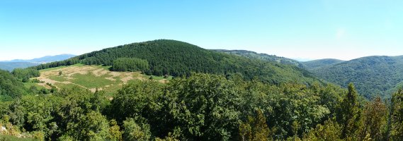 Learpuru hegoaldetik