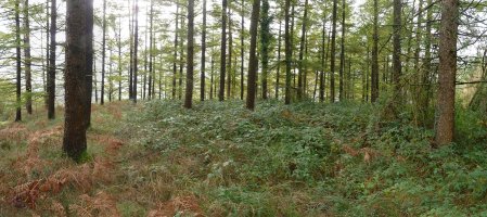 Astotzako gailur itxia 