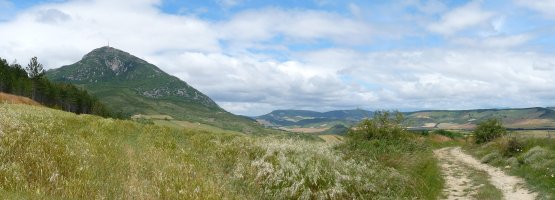 Elomendi Zabalzako bidetik 