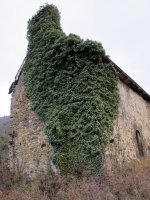 San Pedro ermita, Orontze