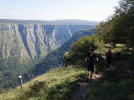 Delikako behatokira bidean