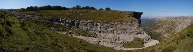 Ur-jauziaren burua urik gabe