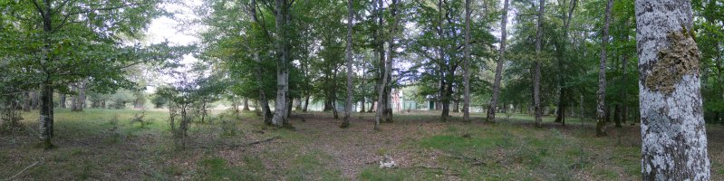 Zalabartako gain zabala, basoaz inguratuta