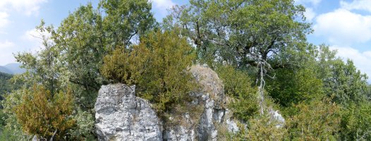 Harkaitz mutur batzuk basoaren erdian, HEko bizkarrean