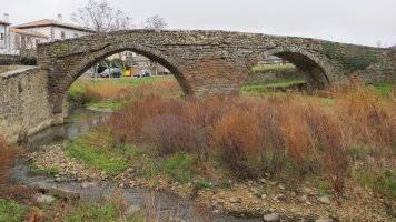 Zubialdea zubia, Elo