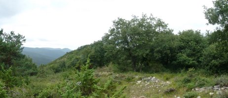 743 kota, gailurtzat eman genuena