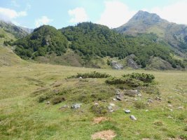 Soussoueou trikuharria