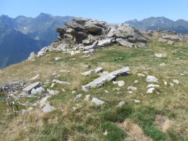 Gourzy 5 trikuharria