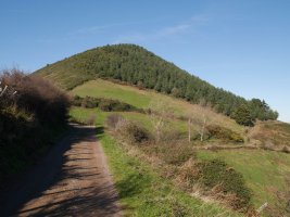 Hego-ekialdetik ikusita