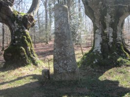 Menhir Aizpikoarri  (Marzo 2017)