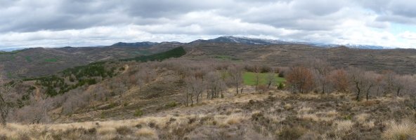 Petillako paisaiak Puig Pererotik