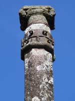 Kruzeroa, Abaurrepea