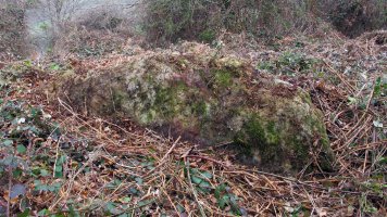 Ibiaga trikuharria, Orbaizeta