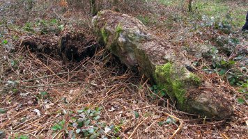 Ibiaga trikuharria, Orbaizeta