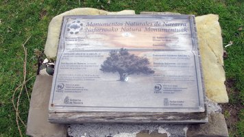 Oriongo hurritzak, Orbaizeta