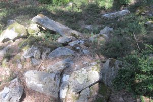 Dólmen Mata del Cleve  (Abril  2017)