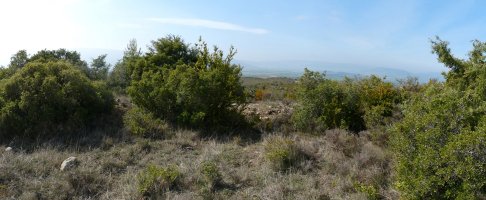 Perdices gainaren gailurra (642)