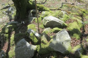 Túmulo Oregi  ( Abril  2017)