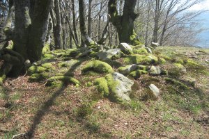 Túmulo Oregi  ( Abril  2017)