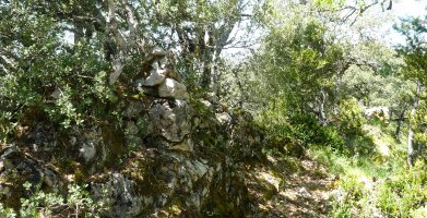 Harri pila bat gailurrean