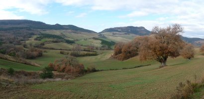 Lakidain harria, Lizarragako haritz monumentalen gainean