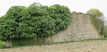 San Juan ermita, Zenbozain-Longida