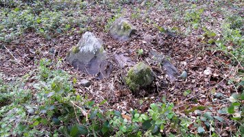 Akabakar trikuharria, Garaioa