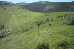 Fondo de Cabaña Faalegi  (Abril  2017)