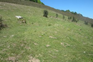 Fondo de Cabaña Faalegi  (04-2017)