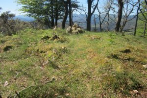 Túmulo Faalegi  (04-2017)