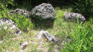 Aranketa trikuharria, Zuntzarren-Lizoanibar