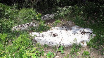 Kabilarte trikuharria, Zuntzarren-Lizoanibar