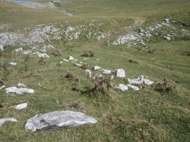 Fondo de Cabaña Liztorriturri 1  (Septiembre 2016)