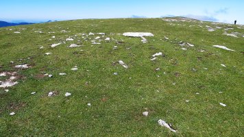 Idorrokia 1 erdi trikuharria, Otsagabia