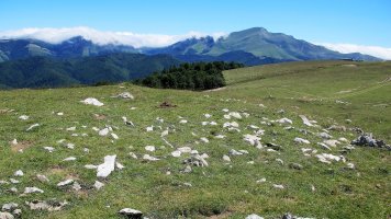 Bortubizkarra 1 ekialde trikuharria, Otsagabia