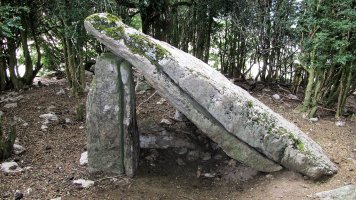 Landabizkarra trikuharria, Otsagabia