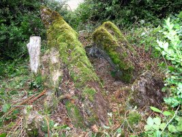 Larburua trikuharria, Otsagabia